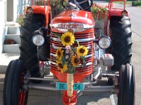 DSCF0582
